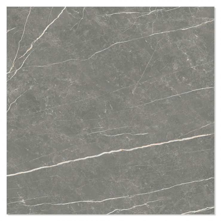 Marmor Klinker Prestige Mörkgrå Polerad 75x75 cm-0